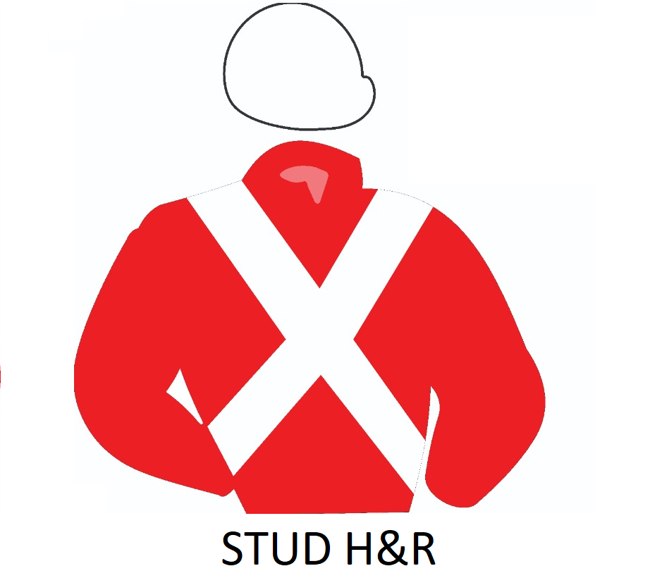 Stud H&R
